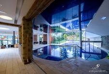 Hotel Grüner Baum - Piscina